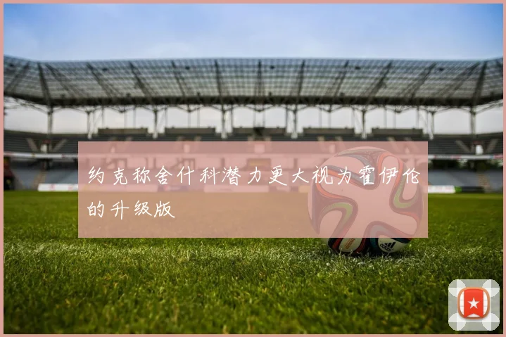 约克称舍什科潜力更大视为霍伊伦的升级版